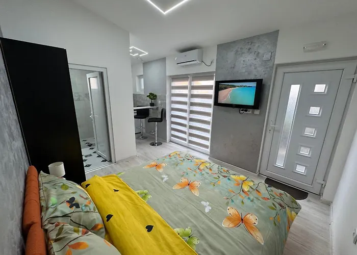 Mitic Apartmani 1